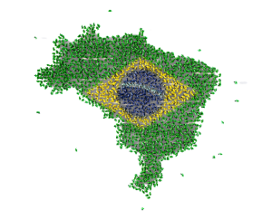 Brasil , representando que a empresa atende em todas as regioes